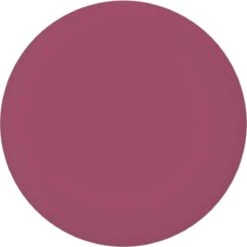 Max Factor Lipfinity Velvet Matte Lippenstift - 050 Satin Berry Rood -Maybelline Winkel 1198x1200 32