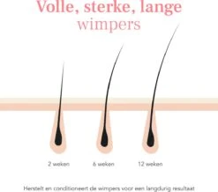Lashive Wimperserum - Wimper Groeiserum - 3 Ml - Wenkbrauw Serum - Lash Lift Kit - Lashserum 11 Lashive Wimperserum - Wimper Groeiserum - 3 Ml - Wenkbrauw Serum - Lash Lift Kit - Lashserum -Maybelline Winkel 1200x1060 2