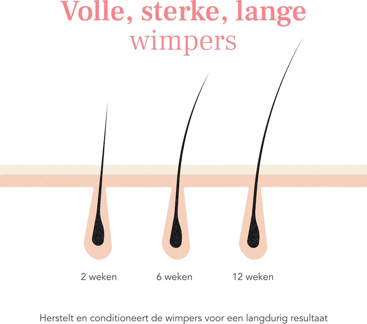Lashive Wimperserum - Wimper Groeiserum - 3 Ml - Wenkbrauw Serum - Lash Lift Kit - Lashserum 7 Lashive Wimperserum - Wimper Groeiserum - 3 Ml - Wenkbrauw Serum - Lash Lift Kit - Lashserum - Afbeelding 5