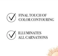 Bourjois Le Petit Strober Highlighter - 00 Universal Glow -Maybelline Winkel 1200x1164 20