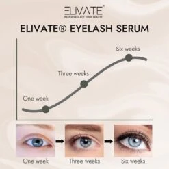 Elivate® 2x Wimperserum 3ml -Maybelline Winkel 1200x1200 746