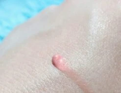 Biodermal Sun Lipbalm SPF25 - Tube 12 Ml - Natural Pink - Lippenbalsem -Maybelline Winkel 1200x927 3