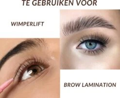 Flora Ruby Professionele 2 In 1 Lash Lift & Brow Lamination Kit - Wimper & Wenkbrauw Lifting Set - Permanente Wimperkruller - Brow Soap -Maybelline Winkel 1200x981